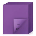 Sandpaper 800 Grit 20 PCS, Wet Dry Sanding Sheets 9 x 11 Inch, Purple Alumina Abrasive Sand Paper for Wood, Metal, Drywall, Resin, Automotive Sanding, Polishing, Grinding, by POLIWELL