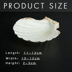10 PCS 4-5 inch Large Scallop Shells Baking Sea Shells Large Natural White Scallop Shell From Sea Beach For DIY Craft Decor