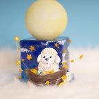 FUNSHOWCASE Mini Assorted Jewerly Stars Resin Epoxy Silicone Tiny Mold for Delicate Craft