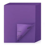 Sandpaper 1200 Grit 20 PCS, Wet Dry Sanding Sheets 9 x 11 Inch, Purple Alumina Abrasive Sand Paper for Wood, Metal, Drywall, Resin, Automotive Sanding, Polishing, Grinding, by POLIWELL