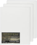 Centurion Deluxe Professional Oil Primed Linen Canvas Panels - 10x20-3 Pack of Linen Canvases for Painting, Artwork and More