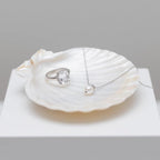 YOUKE OLA 60PCS Scallop Shells for Crafts Large Beach Natural Shells Bulk for Decoupage DIY Crafts Seashell Decorations Home Decor White 4''-4.5''