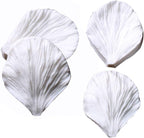 KALAIEN 5pcs Stainless Steel Peony Cutter 2pcs Fondant Silicone Mold Gumpaste Peony Sugarcraft Flower Veining Mold Veiner Petal Making Tool