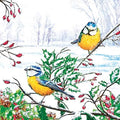 20-ct 13x13 Christmas Paper Decoupage Napkins, 3-Ply Servilletas Tissue Napkin for Dinner and Parties, Disposable Napkins (Winter Tits)