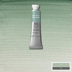Winsor & Newton Professional Water Colour Paint, 0.17-oz Tube, Terre Verte