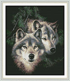 Maydiyer Cross Stitch Kits 14CT Counted Full Range of Embroidery Starter Kits for Beginners DIY Embroidery Kit for Girls-Two Wolves 17.3×20 inch