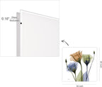 Empire Art Direct Frameless Free Floating Tempered Glass Panel Graphic Wall Art Ready to Hang, 24" x 24", Gentian Buddies, Multi-color Flower