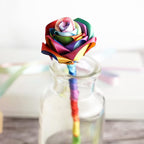 MEEDEE Satin Rainbow Ribbon 1 Inch - 25 Yards for Gift Wrapping, Birthday, Pride Party Decoration, Handmade Bows, DIY Crafts - Neon Color