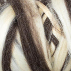Natural Wool Bulk roving, 1 lb. Best Wool for Spinning, arm Knitting, Felting, Chunky Blankets and Tapestry. Natural Colors, un-Dyed. (Zebra(Ecru/Mocha), 1 lb)