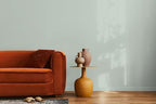 EVOLVE Paint & Primer: Environment-friendly, Low Sheen with One-coat Coverage for Interior & Exterior surfaces (Greenhouse, 1-Gallon)