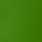 Liquitex BASICS Acrylic Paint, 946ml (32-oz) Jar, Light Green Permanent