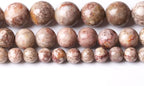 48PCS 8MM Natural Flowery Cowry Fossil Stone Beads Energy Healing Beads for DIY Jewelry Bracelet Necklace Making for Jewelry Making15Inch
