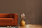 EVOLVE Paint & Primer: Environment-friendly, Low Sheen with One-coat Coverage for Interior & Exterior surfaces (Bark Brown, 5-Gallon)