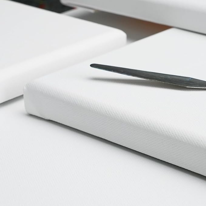 PHOENIX 20x20 Inch 2 Pack Artist Canvas - Large Square Stretched Canvases for Painting - 3/4 Inch Profile, 100% Cotton 11 Oz. Gesso Primed White Blank Professional Canvas Oil & Acrylic Paints