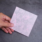 4" x 4" 50 Designs 50 Sheets Natural Fiber Tamarind Leaves,Banana Bark Mulberry Paper Sheets Art Tissue Washi Paper Design Craft Art Origami Suppliers Card Making (Mixed Colors,Tamarind Leaves etc.)