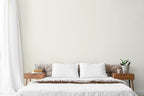 EVOLVE Paint & Primer: Environment-friendly, Low Sheen with One-coat Coverage for Interior & Exterior surfaces (Clover White, 1-Gallon)