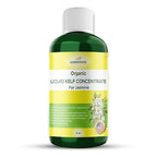 Organic Premium Kelp Seaweed Fertilizer for Jasmin - Liquid Fertilizer - Liquid Plant Food - Nutrient-Rich Soil Enhancer - Natural Plant Food for Jasmin (8 OZ)