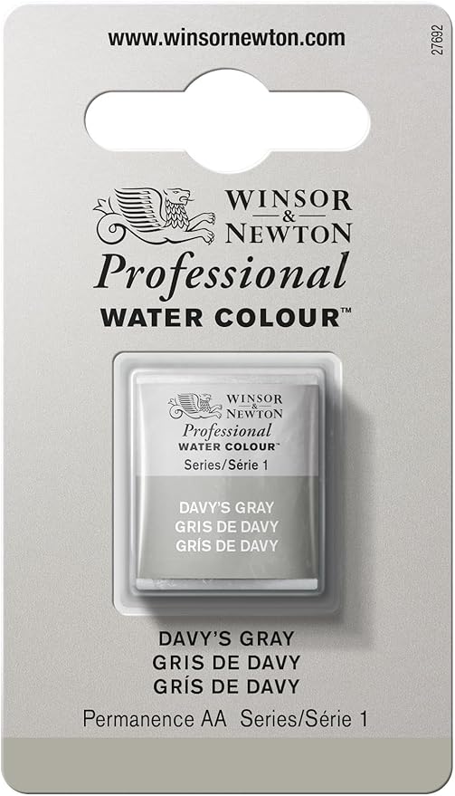 Winsor & Newton Professional Water Colour Paint, Half Pan, Davy's Gray