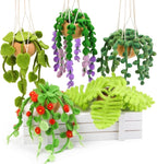 OEHPICC Needle Felting Kit, 5 Pack Hanging Plants Needle Felt Beginner Kit, Including Basic Felting Tools, Instructions, Felt Craft Kit for Indoor Outdoor Office and Home Decor