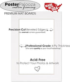 Pack of 25 Acid Free 8x10 Mats Bevel Cut for 6x8 Photos - Bright Red Suede Precut Matboards For Pictures, Photos, Framing - 4-ply Thickness