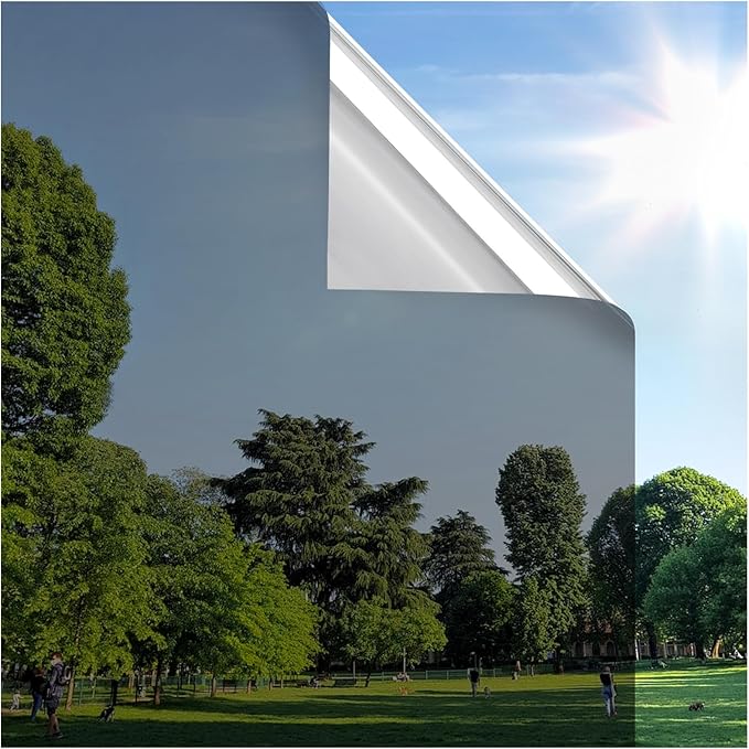 rabbitgoo Window Privacy Film One Way Window Tint for Home, Removable Reflective Heat Sun Blocking Anti UV Glass Door Covering, Mirror Tinting Film House Office, 35.4 in X 9.8 Feet, Black Silver