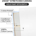 Pre Stretched Canvases for Painting 24x36 2 Pack Large Blank Canvas Boards for Acrylic Pouring and Oil Painting, 100% Cotton, 5-Time Gesso Primed