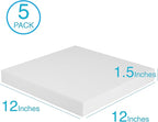 Silverlake 12x12x1.5 Craft Foam for Styrofoam Block Projects (5-Pack)