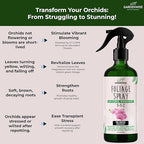 Premium Orchid Plant Food Mist – Orchid Fertilizer Spray – Orchid Food Fertilizer for Blooming – Orchid Plant Care Formula 3-1-2 – Ready-to-Use (8 OZ)