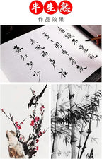 MEGREZ Roll Pack Thicken Calligraphy Xuan Paper for Chinese, Japanese, 35cm x 20m(13.8in x 65.6ft), Half Raw Ripe, White