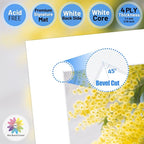 Mat Board Center, Pack of 10, 10x13 for 6x9 White Photo Picture Mats - Acid Free, 4-ply Thickness, White Core - for Pictures, Photos, Framing