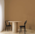 EVOLVE Paint & Primer: Environment-friendly, Low Sheen with One-coat Coverage for Interior & Exterior surfaces (Autumn Brown, 1-Gallon)