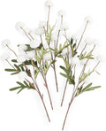 Floroom 5pcs White Faux Silk Mums Artificial Flowers, Bulk Fake Small Mini Chrysanthemums with Stems for DIY Wedding Centerpieces Floral Arrangements Vase Fillers Home Decorations