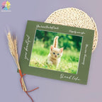 Mat Board Center, Pack of 10, 11x14 for 8x10 Rock Garden Color Mats - Acid Free, 4-ply Thickness, White Core - for Pictures, Photos, Framing
