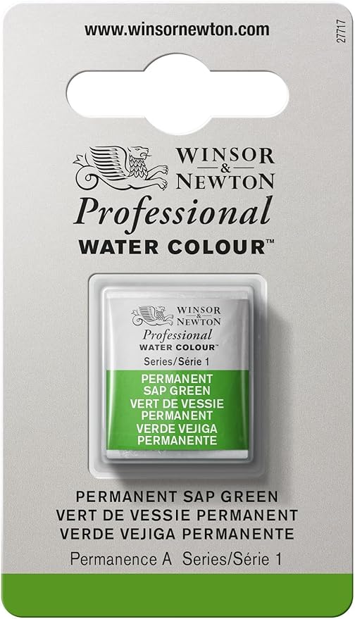 Winsor & Newton Professional Water Colour Paint, Half Pan, Permanent Sap Green