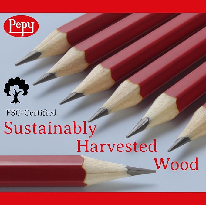 Pepy Graphite Professional Drawing Pencils - Set of 12 2B Pre-Sharpened Black Lead Pencils; Perfect for Drawing, Sketching and Shading, Graphic and Fine Art