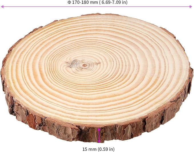 JEUIHAU 10 PCS 6.7-7 Inches Natural Unfinished Wood Slices, Round Wooden Tree Bark Discs, Wooden Circles for DIY Crafts, Christmas, Rustic Wedding Ornaments