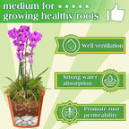 Halatool 2.2LBS Forest Green Moss for Indoor Potted Plants, Orchid Potting Mix, Indoor Potting Plant Moss for Repotting Terrariums Garden Reptiles
