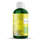 Organic Premium Kelp Seaweed Fertilizer for Peace Llily - Liquid Plant Food - Nutrient-Rich Soil Enhancer - Natural Plant Food for Spathiphyllum (16 OZ)