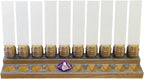 Initiative Tracker with 10 Barrel Slots, Erasable Name Tags, and Dice for Tracking Order. Ideal for DND and Other TTRPGs Brown with Silver