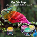 BALTIC DAY - Chameleon Mica Powder, 8 Jars of Color Shift Mica Set - Epoxy Resin Color Pigment - Chameleon Powder Glitter - Holographic Mica Powder for Resin