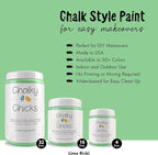 Chalky Chicks All-in-One Chalk Paint for Furniture or Cabinet - 16Fl Oz - Matte Finish Lime Ricki (Lime Green) for Metal, Wood Furniture Paint - No Sanding All-in-One for Home Decor & Crafts, USA Made
