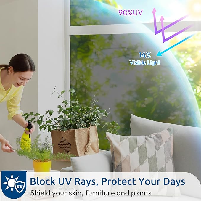 rabbitgoo Window Privacy Film One Way Window Tint for Home, Removable Reflective Heat Sun Blocking Anti UV Glass Door Covering, Mirror Tinting Film House Office, 29.5 in X 13.1 Feet, Black Silver