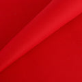 Aida Cloth 14 Count Cross Stitch Fabric,19×28inch (14CT, Red)