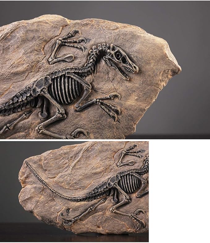 XINDAM Resin Dinosaur Fossil Statue Model Simulated Skeleton Home Office Display Decorative Craft Box Decoration (Style 2)