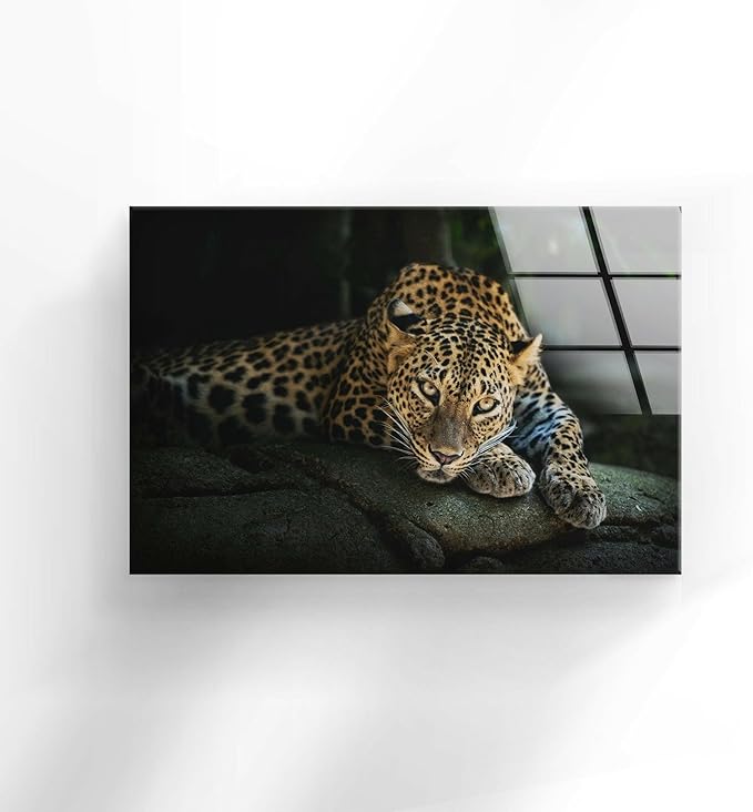 My Photostation.com 28Wx18H'' Fierce Leopard Glass Wall ArtTempered Glass Printing Wall Decor Large Wall Art Wall Hangings