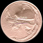 Premium Palette Knife Painting Paste|Texture Paste|Authentic Bright Colors|Ready to Use|Easy to Apply| 6oz (Peach 'N Cream)