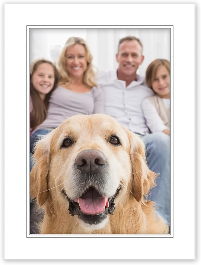 12x12 Mat for 8x8 Photo - Precut White on White Double Mat Picture Matboard for Frames Measuring 12 x 12 Inches - Bevel Cut Matte to Display Art Measuring 8 x 8 Inches - Acid Free ONE MAT