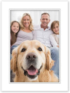 12x12 Mat for 8x8 Photo - Precut White on White Double Mat Picture Matboard for Frames Measuring 12 x 12 Inches - Bevel Cut Matte to Display Art Measuring 8 x 8 Inches - Acid Free ONE MAT