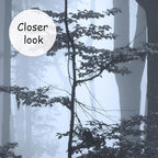 AFZEVEB-Foggy Dark Forest Wallpaper Landscape Tree Wall murals for Bedroom 136"x96"(Not Peel and Stick)