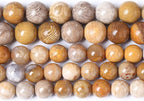 120pcs 6mm Natural Coral Jade Chrysanthemum Stone Beads Round Loose Beads for Jewelry Making,DIY Bracelet Necklace 32" 2 Strands
